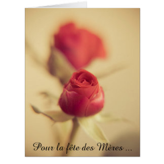 A red rose for the mother… greeting card gefunden auf Zazzle