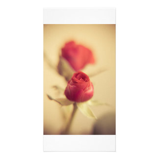 A red rose for the mother… greeting card gefunden auf Zazzle