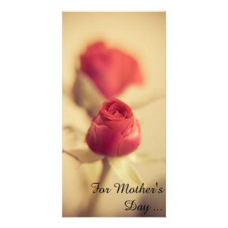 A red rose for the mother… greeting card gefunden auf Zazzle