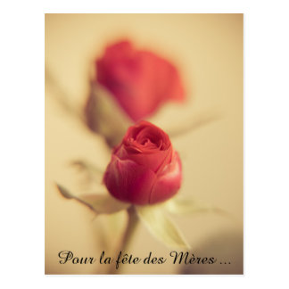 A red rose for the mother… greeting card gefunden auf Zazzle