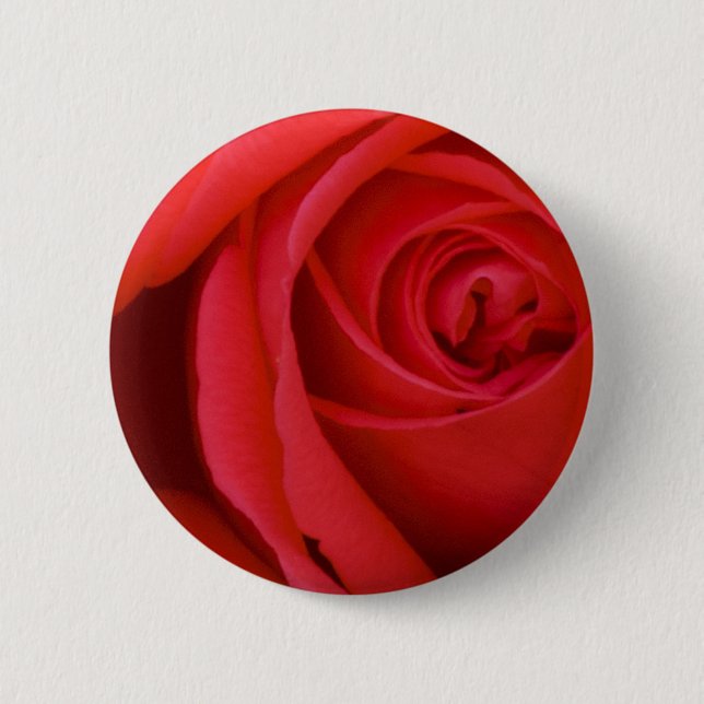 A Red Rose For You Pinback Button (Front)