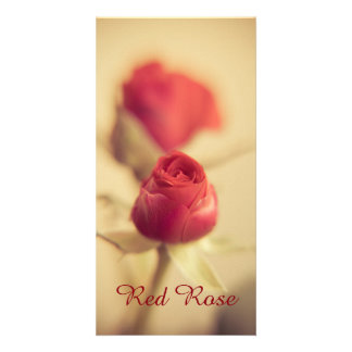 A Red Rose for your Sweetheart... Card