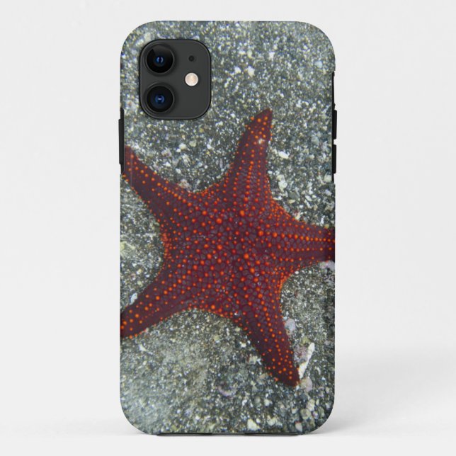 A Red Starfish | Galapagos, Equador Case-Mate iPhone Case (Back)