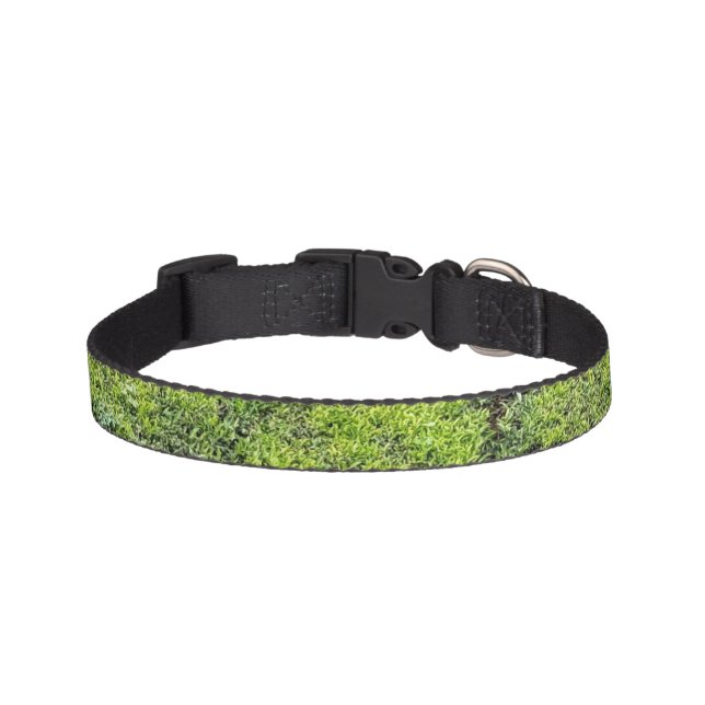 A refreshing green Pet collar (Front)