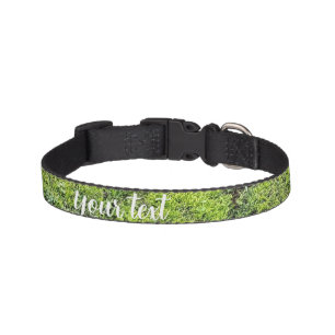 A refreshing green Pet collar