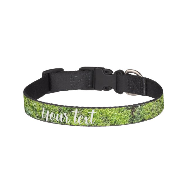 A refreshing green Pet collar (Front)