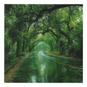 A Refreshing Melody 009 Faux Canvas Print