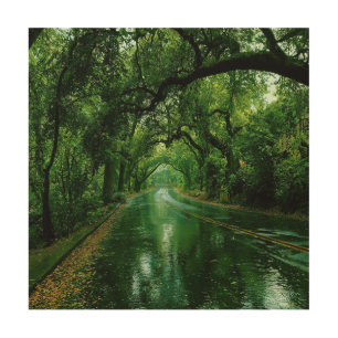 A Refreshing Melody 009 Wood Wall Art
