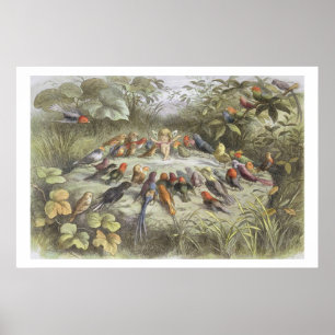 A Rehearsal in Fairy Land, illustration from 'In F Poster