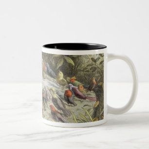 A Rehearsal in Fairy Land, illustration from 'In F Two-Tone Coffee Mug