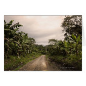 A remote jungle road (Front Horizontal)