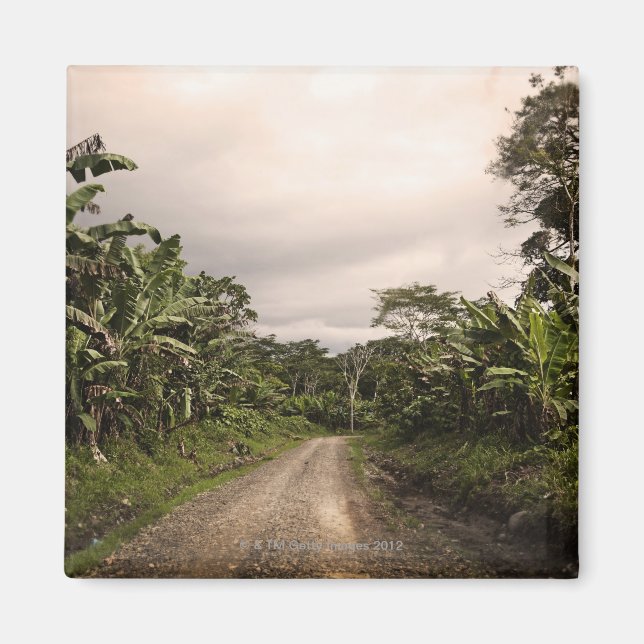 A remote jungle road magnet (Front)
