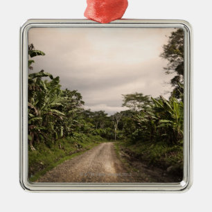 A remote jungle road metal ornament