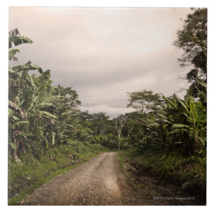 A remote jungle road tile