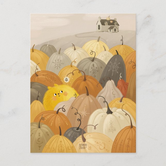 A researcher a sweet pumpkins postcard (Front)