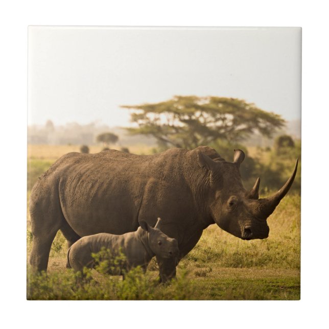 A Rhino with her baby Ceramic Tile (Front)