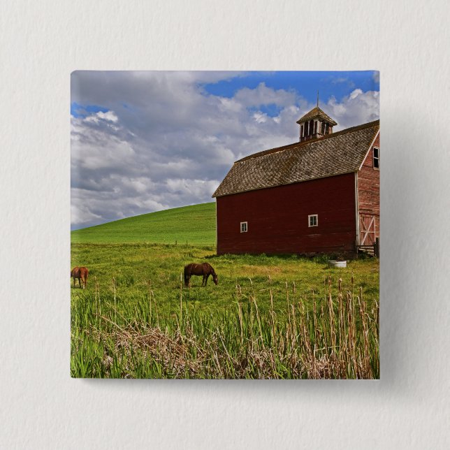 A ride through the farm country of Palouse 3 Pinback Button (Front)