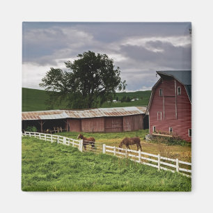 A ride through the farm country of Palouse 4 Magnet