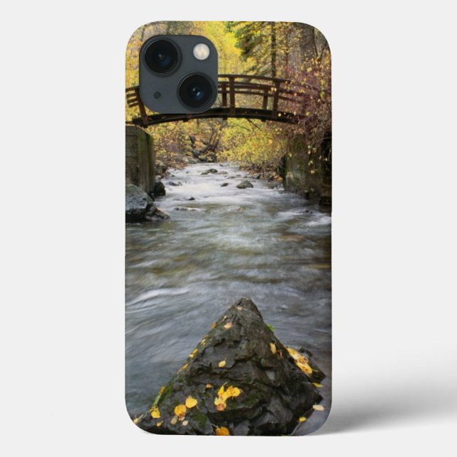 A River Running Through American Fork Canyon Case-Mate iPhone Case (Back)
