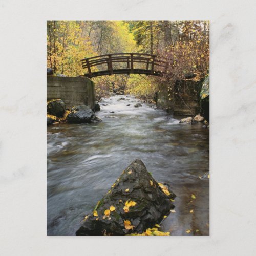 A River Running Through American Fork Canyon Postcard