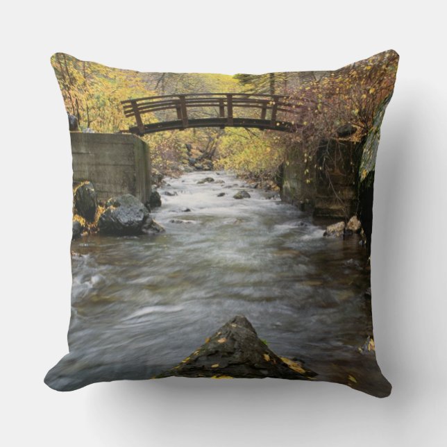 A River Running Through American Fork Canyon Throw Pillow (Front)