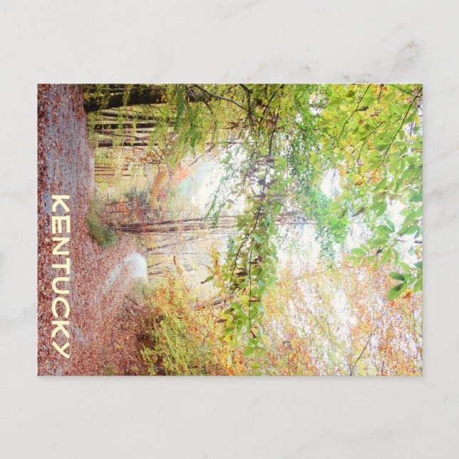 A Road Less Traveled by JerseyFawn Postcard (Front)