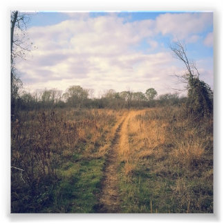 A road less traveled photo print