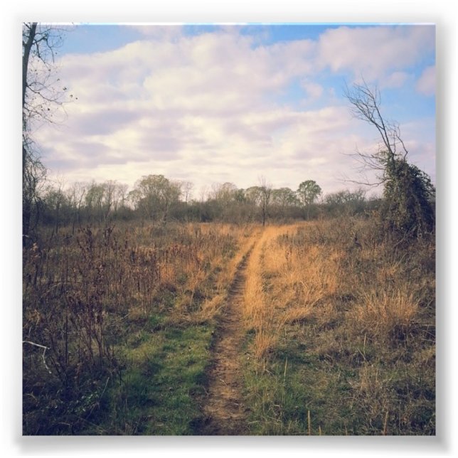 A road less traveled photo print (Front)
