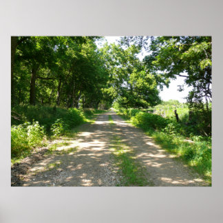 A Road Less Traveled Poster