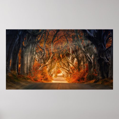 A road through the Forest Poster