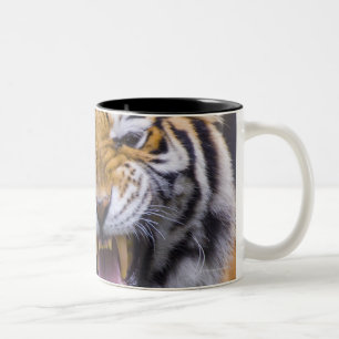 A roaring tiger, Taiwan, Taipei, Taipei Zoo Two-Tone Coffee Mug