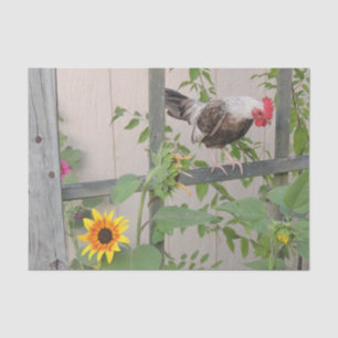 A Rooster Inspecting Sunflowers Tissue Paper