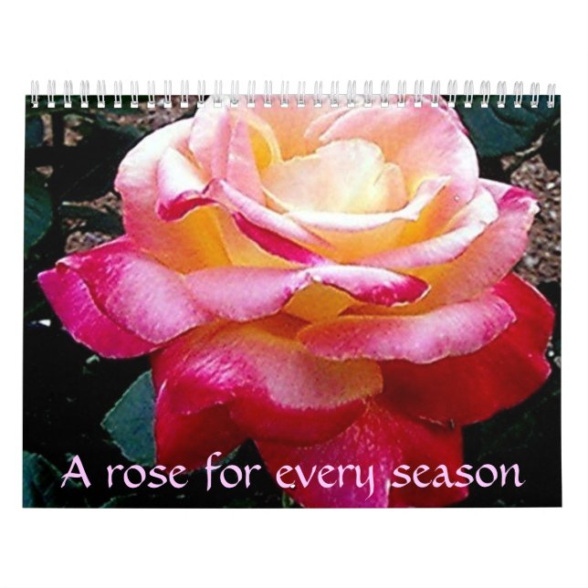 A rose for every season calendar (Cover)