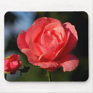 A rose for the dearest one…. mouse pad
