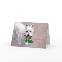 “A Rose For You” all occasion greeting card