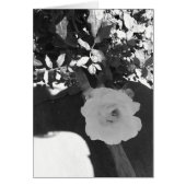 A Rose in the desert Cards (Front)