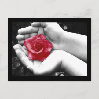 A Rose in the Hand 2 Postcard