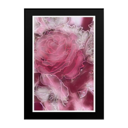 A Rose is a Rose on acrylic panel Acrylic Print