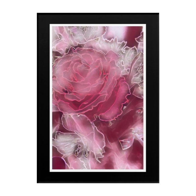 A Rose is a Rose.... on acrylic panel Acrylic Print (Front)