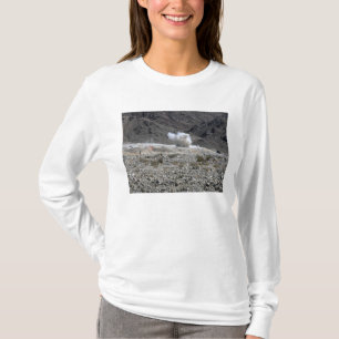 A round from an AT-4 small rocket launcher T-Shirt