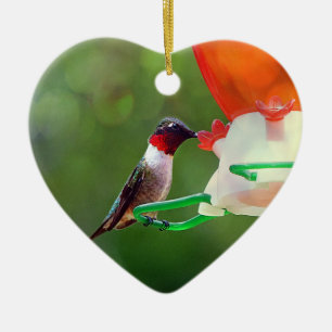 A Ruby Throated Hummingbird Ceramic Ornament