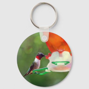 A Ruby Throated Hummingbird Keychain