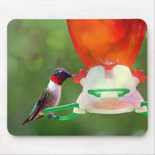 A Ruby Throated Hummingbird Mouse Pad