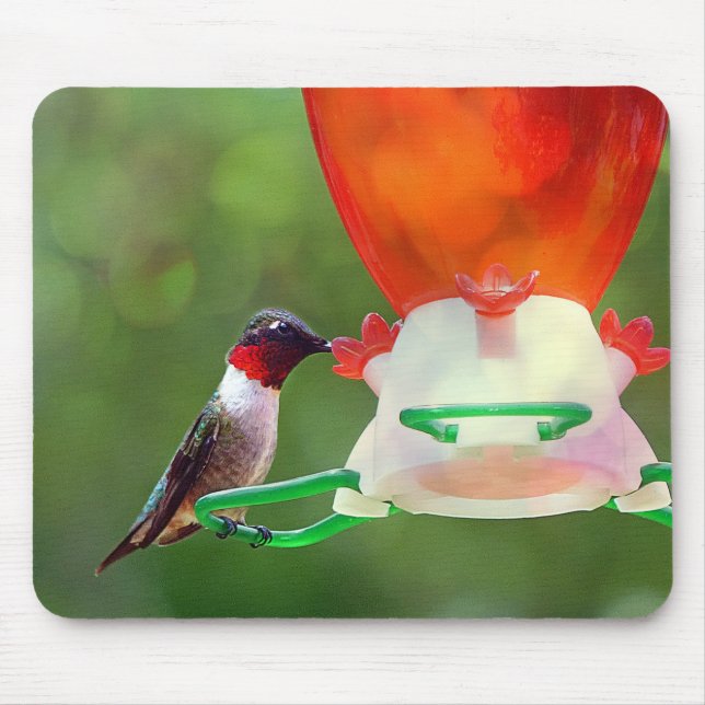 A Ruby Throated Hummingbird Mouse Pad (Front)