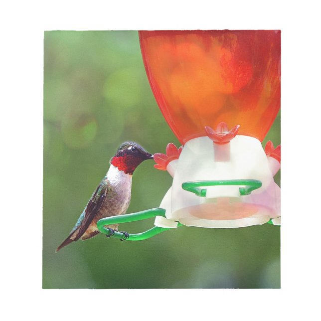 A Ruby Throated Hummingbird Notepad (Front)