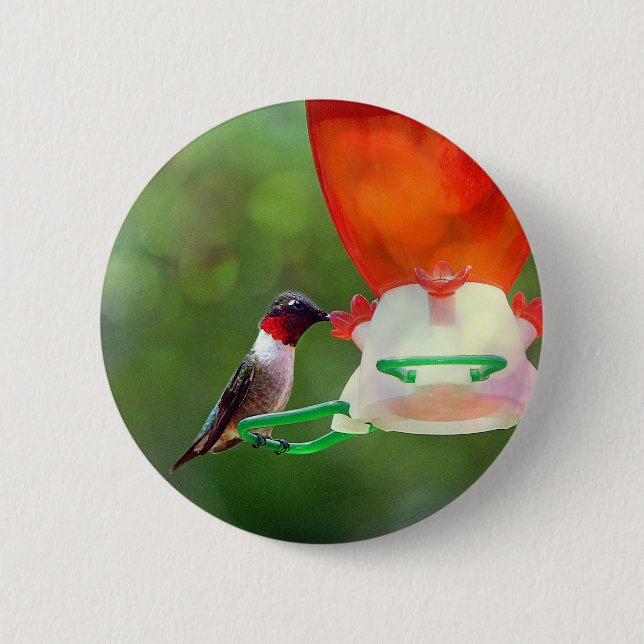 A Ruby Throated Hummingbird Pinback Button (Front)