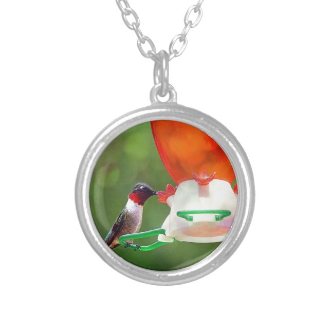 A Ruby Throated Hummingbird Silver Plated Necklace (Front)