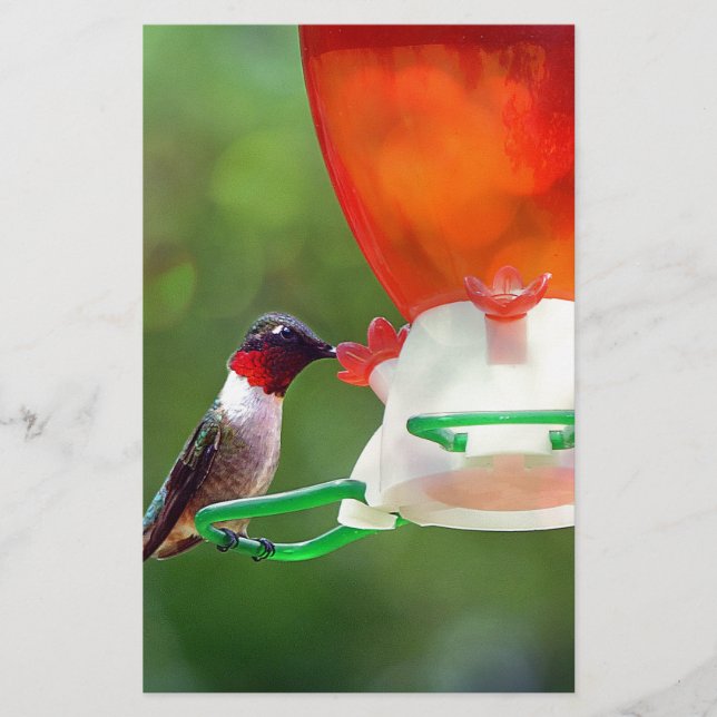 A Ruby Throated Hummingbird Stationery (Front)