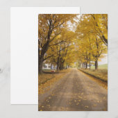 A Rural Road in Peacham (Front/Back)