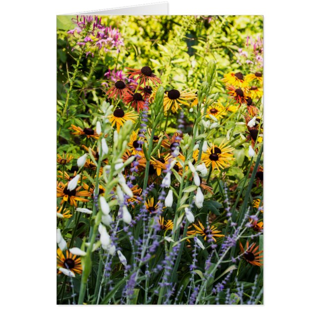 A Rush of Color (Front)